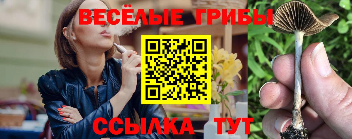 Псилоцибиновые грибы мицелий  дарнет шоп  Вход с VPN  Орск  Галлюциногенные грибы Psilocybine cubensis 